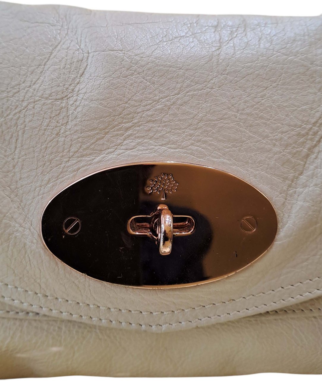 Mulberry Alexa Clutch Printed Leather Divers