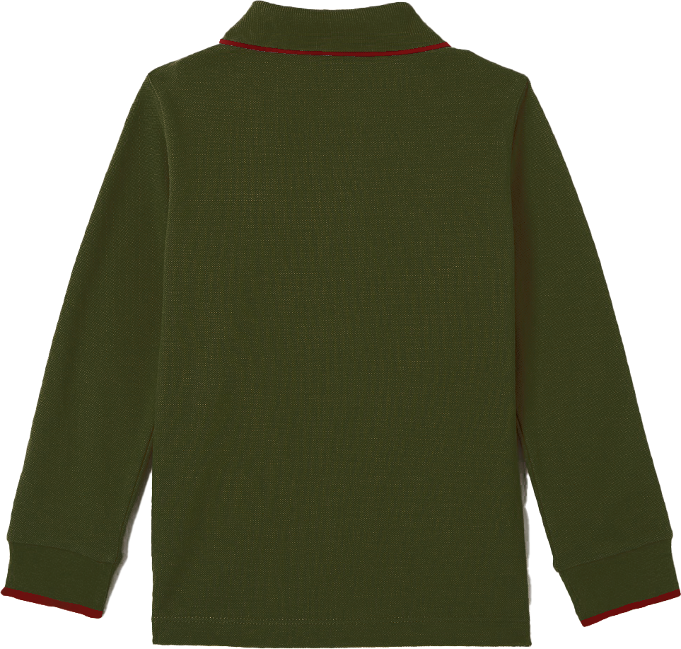 My Brand Colorfull Longsleeve Polo Army | ARMY Groen
