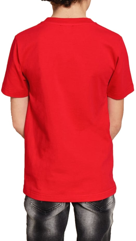 My Brand GRAPHIC SKULL BADGE T-SHI | RED Rood