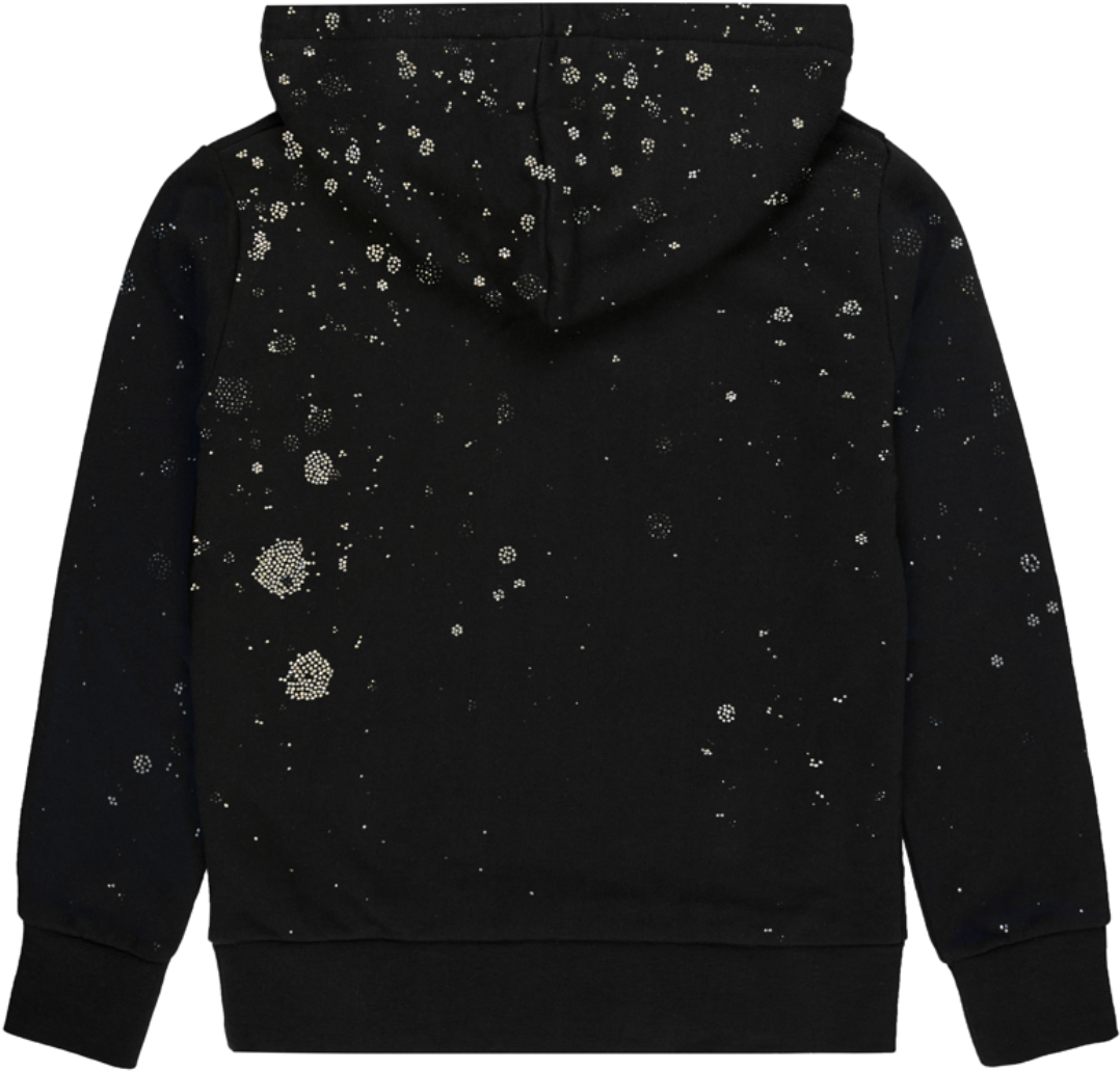 My Brand PAINT CAPSULE HOODIE | BLACK Zwart