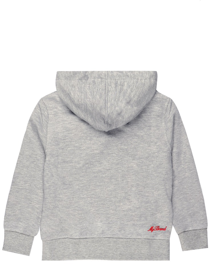 My Brand Risk Takers Hoodie | GREY Grijs