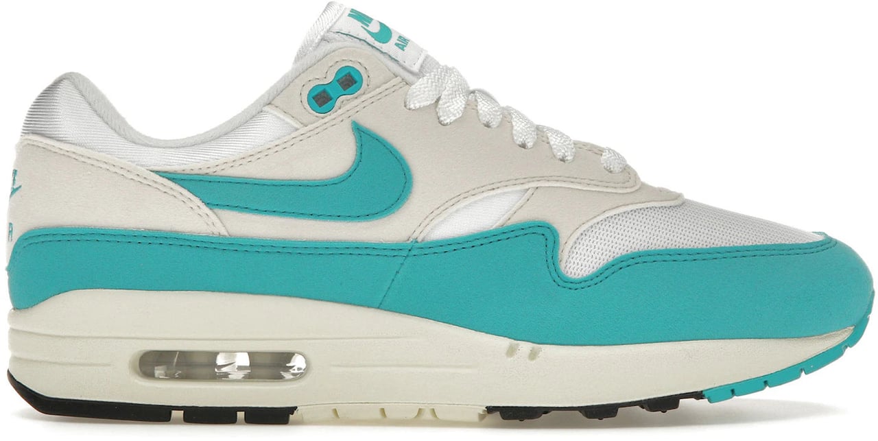 Nike Nike Air Max 1 Dusty Cactus (Women's) Divers