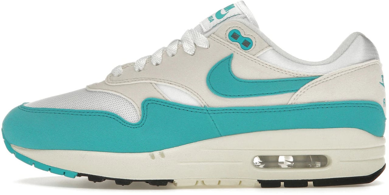 Nike Nike Air Max 1 Dusty Cactus (Women's) Divers