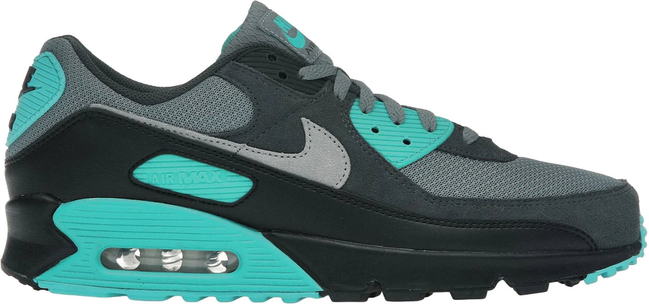 Nike Nike Air Max 90 Cool Grey Dusty Cactus Black Wolf Grey Grijs