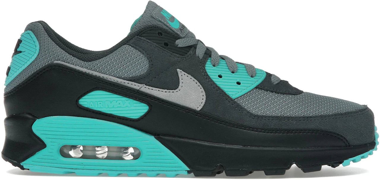 Nike Nike Air Max 90 Cool Grey Dusty Cactus Black Wolf Grey Grijs