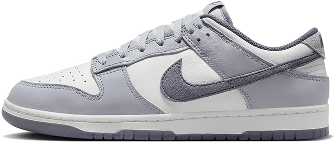 Nike Nike Dunk Low SE Light Carbon Grijs