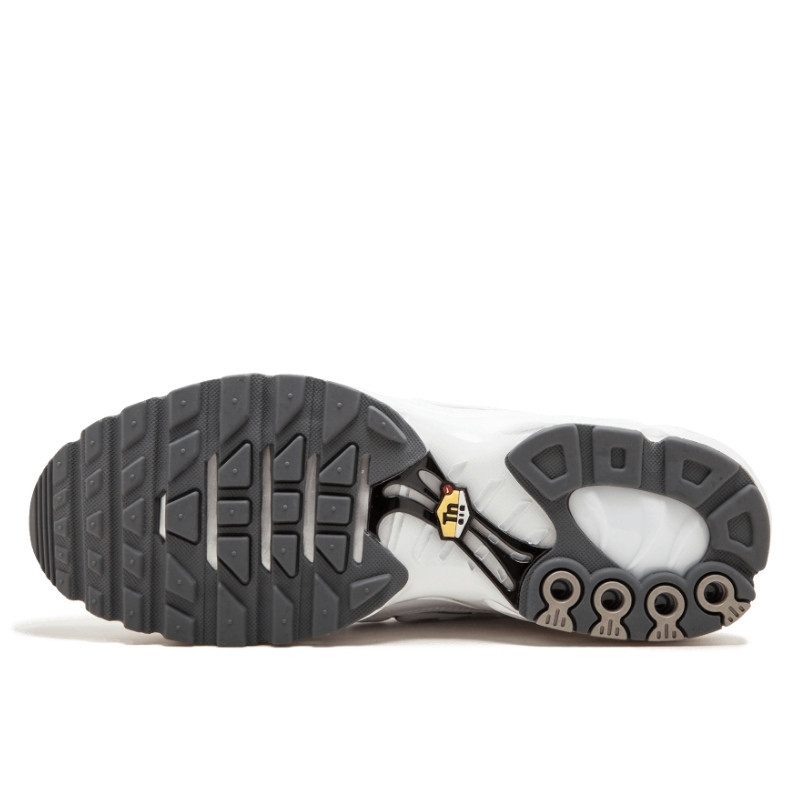 Nike Nike Air Max TN Plus White Wit