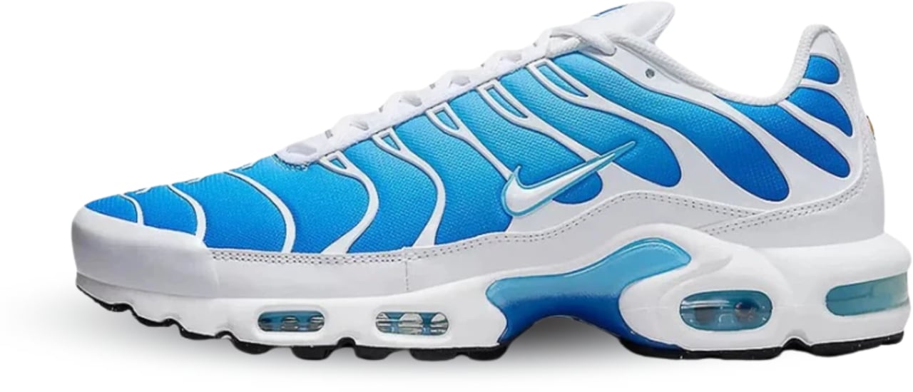 Nike Nike Air Max Plus Sky Blue Divers