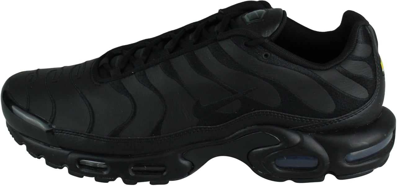 Nike Nike Air Max Plus 'Triple Black Leather' Zwart