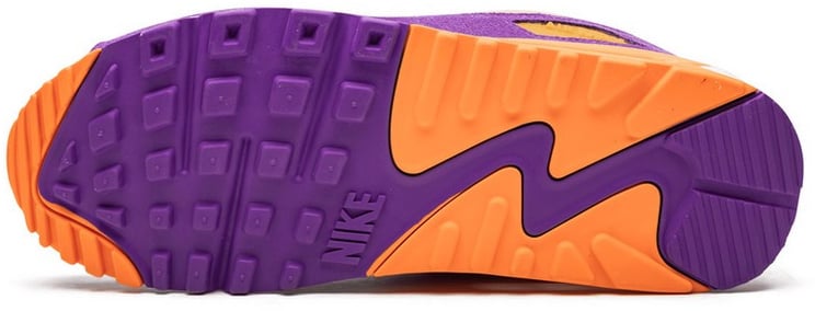 Nike Nike Air Max 90 Viotech OG Divers