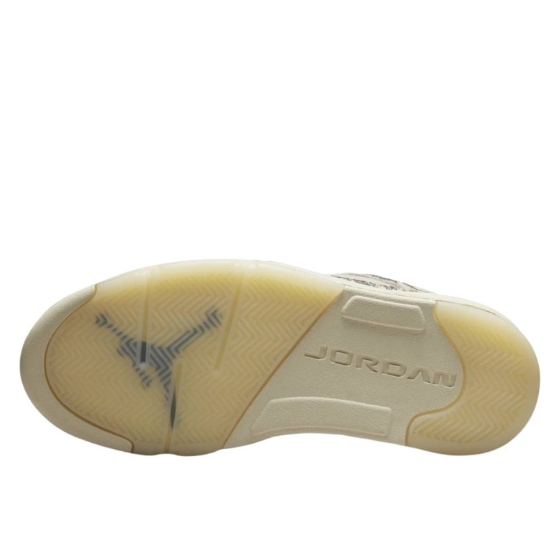 Nike Air Jordan 5 Retro Low Expression Grijs