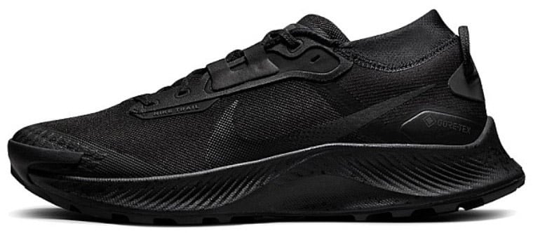 Nike Nike Pegasus Trail 3 Gore-Tex Black Dark Smoke Grey Zwart