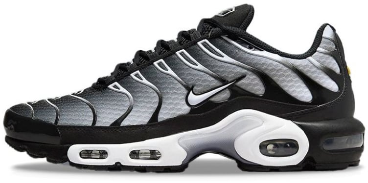 Nike Nike Air Max Plus Black Metallic Silver Grijs