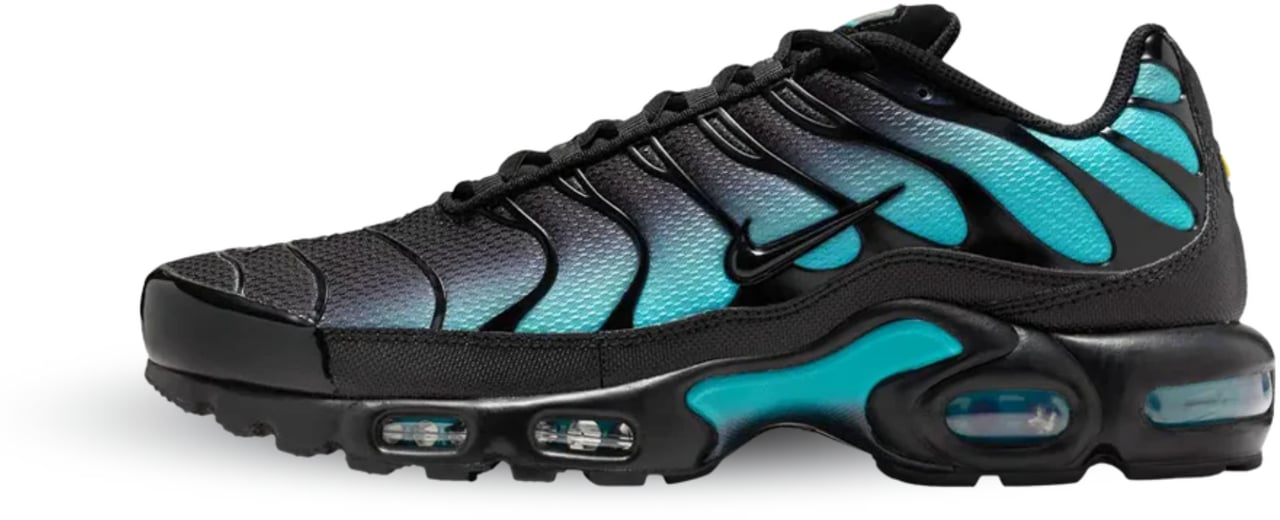 Nike Nike Air Max Plus Black Dusty Cactus Divers