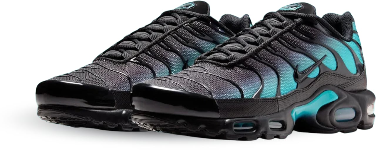 Nike Nike Air Max Plus Black Dusty Cactus Divers