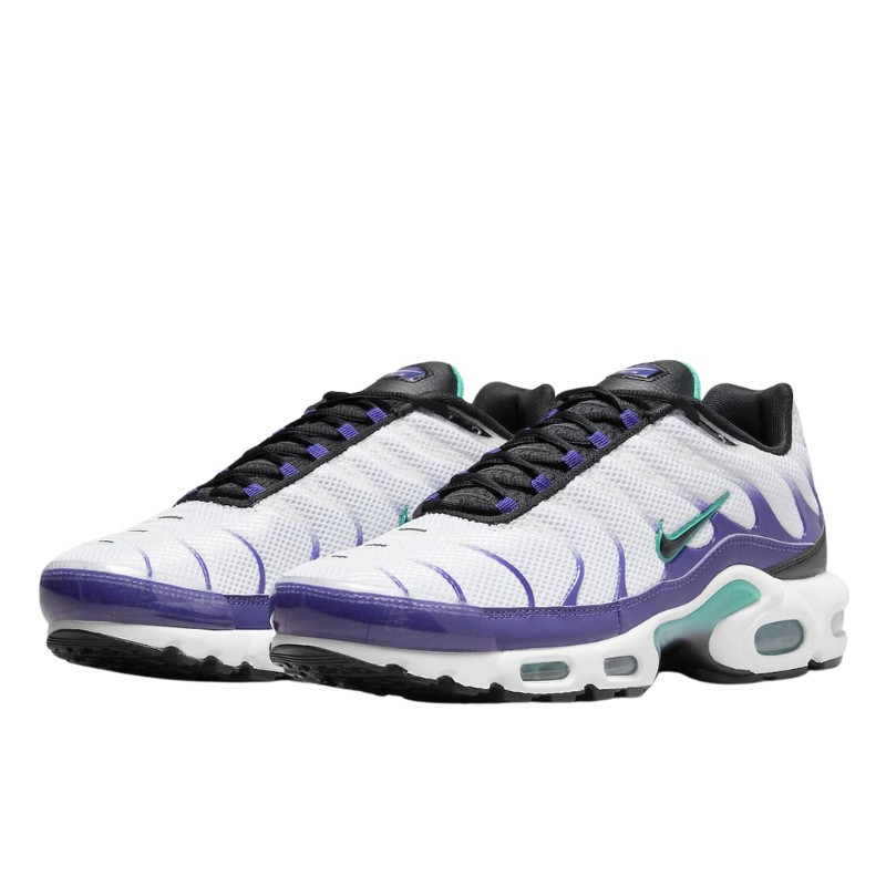 Nike Nike Air Max Plus White Grape Ice Paars