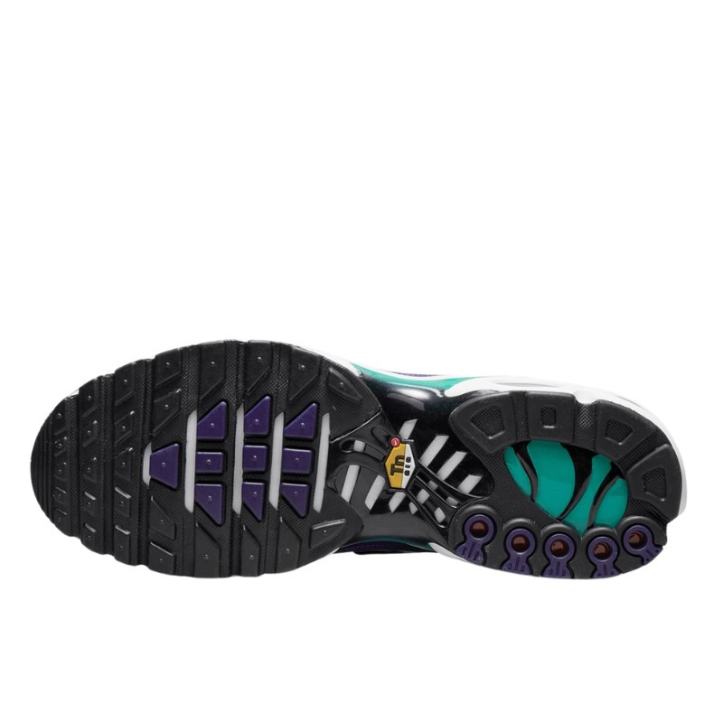 Nike Nike Air Max Plus White Grape Ice Paars