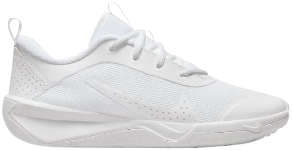 Nike Omni Multi-Court Grijs