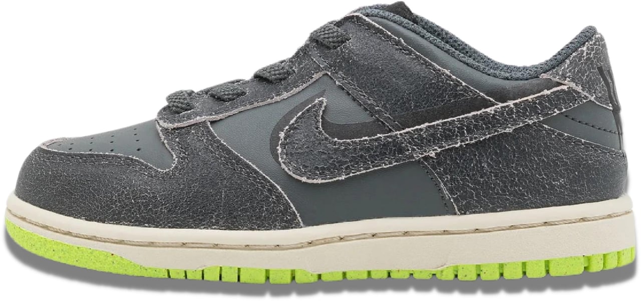 Nike Nike Dunk Low Swoosh Shadow Iron Grey (2022) Enfant et Bébé Grijs