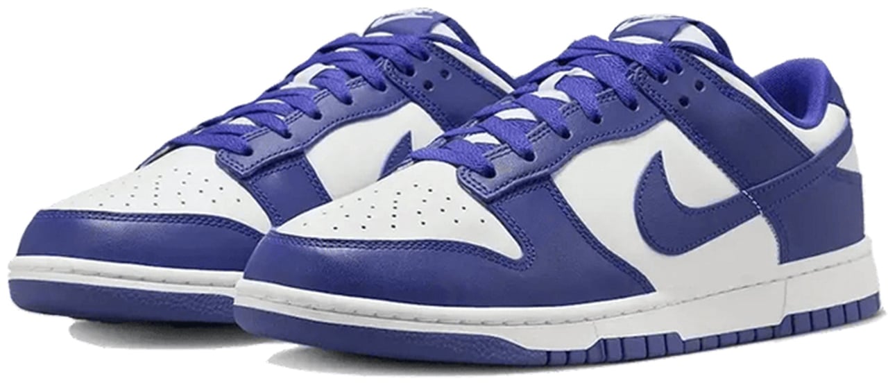 Nike Nike Dunk Low Concord Divers