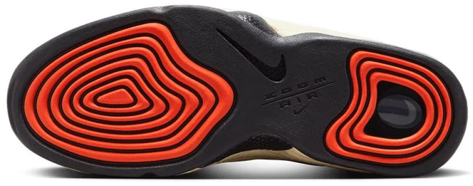 Nike Air Max Penny Sneakers Divers