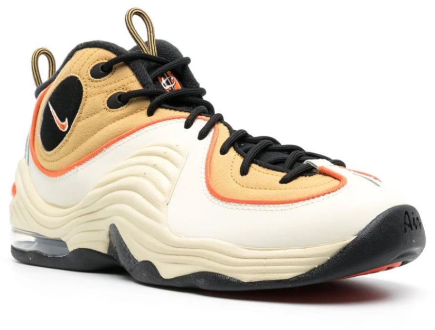 Nike Air Max Penny Sneakers Divers