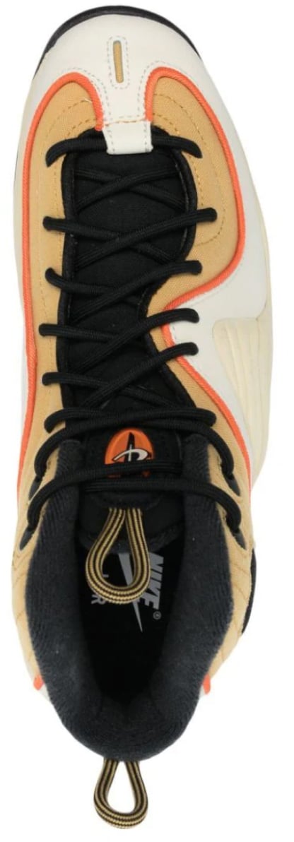 Nike Air Max Penny Sneakers Divers