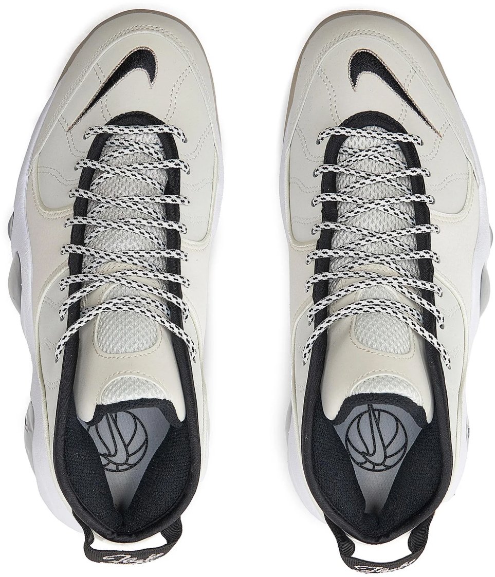 Nike Zoom Flight 95 Pale Ivory Sneakers Wit