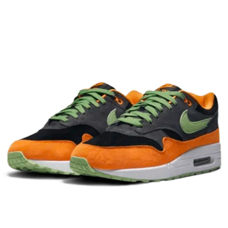 Nike Nike Air Max 1 PRM Duck Anthracite Divers