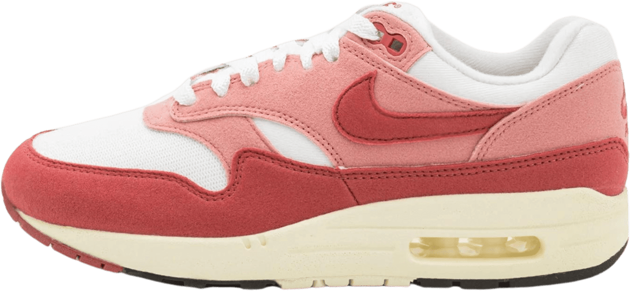 Nike Nike Air Max  1 RED STARDUST Divers