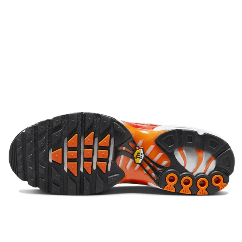 Nike Nike Air Max Plus Light Photography Oranje