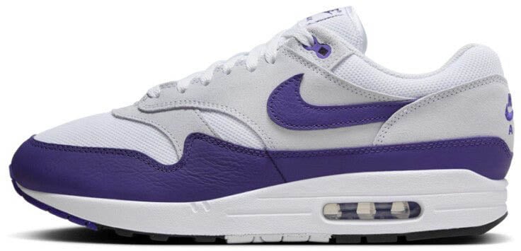 Nike Nike air max 1 sc field purple Divers