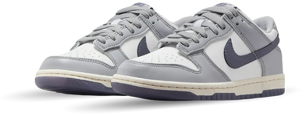Nike Nike Dunk Low Light Carbon (GS) Divers
