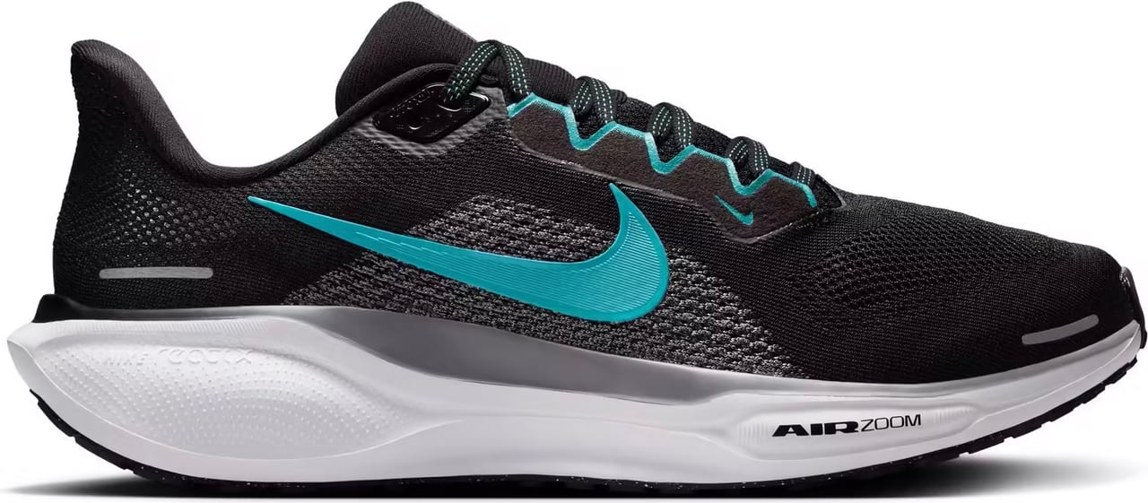 Nike Pegasus 41 Zwart