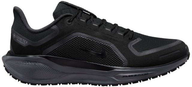 Nike Pegasus 41 Gore-Tex Zwart