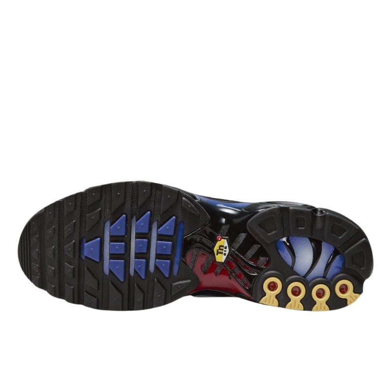 Nike Nike Air Max Plus 25th Anniversary Blauw