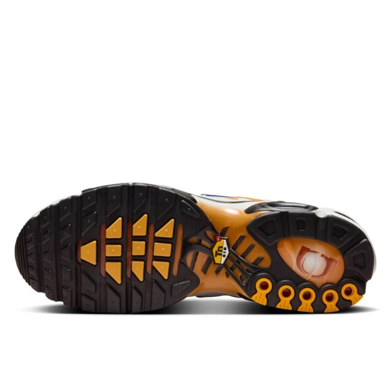 Nike Nike Air Max Plus One Block Down Chutney Oranje