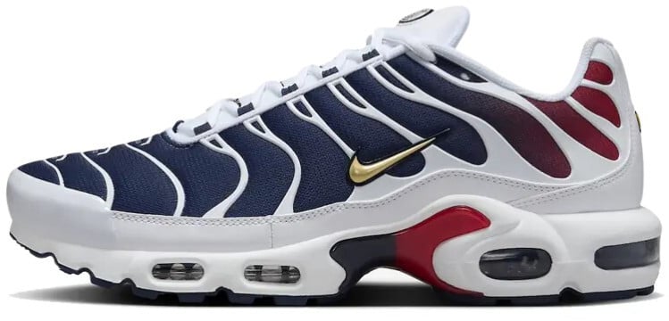 Nike Nike Air Max Plus PSG Blauw