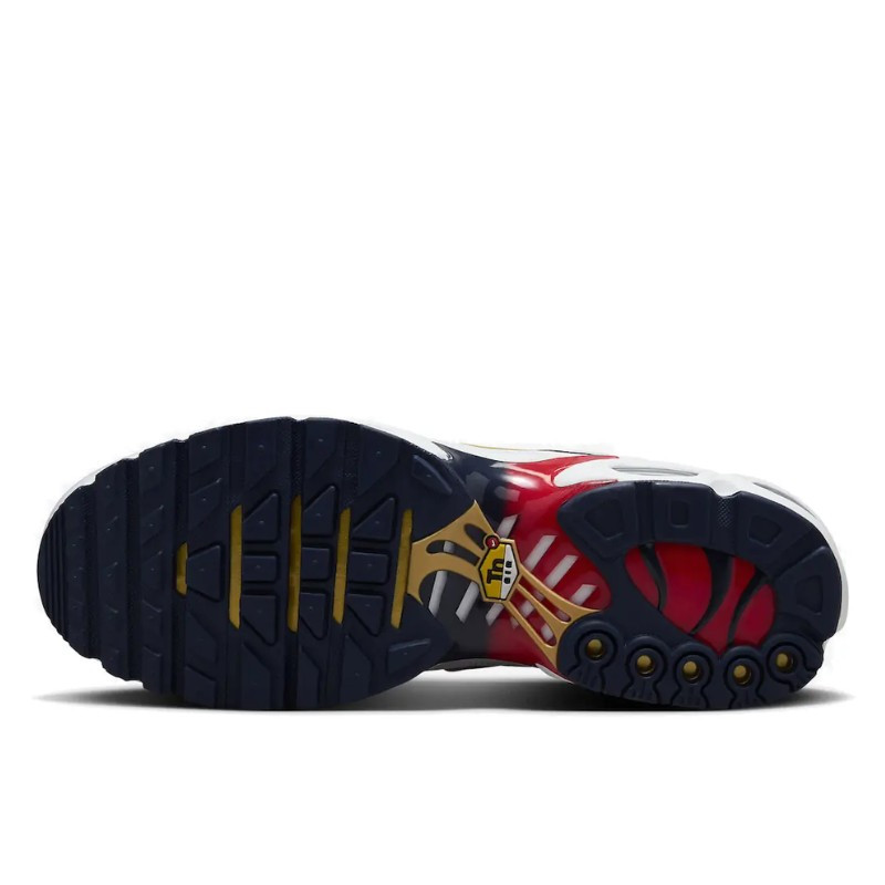 Nike Nike Air Max Plus PSG Blauw