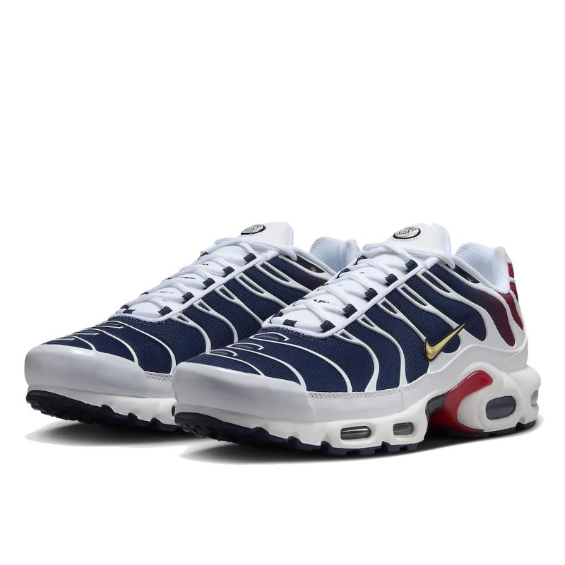 Nike Nike Air Max Plus PSG Blauw