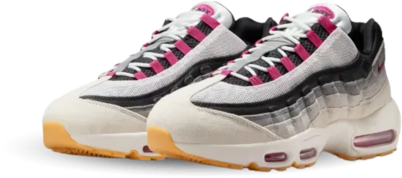 Nike Nike Air Max 95 SB Cactus Flower Divers