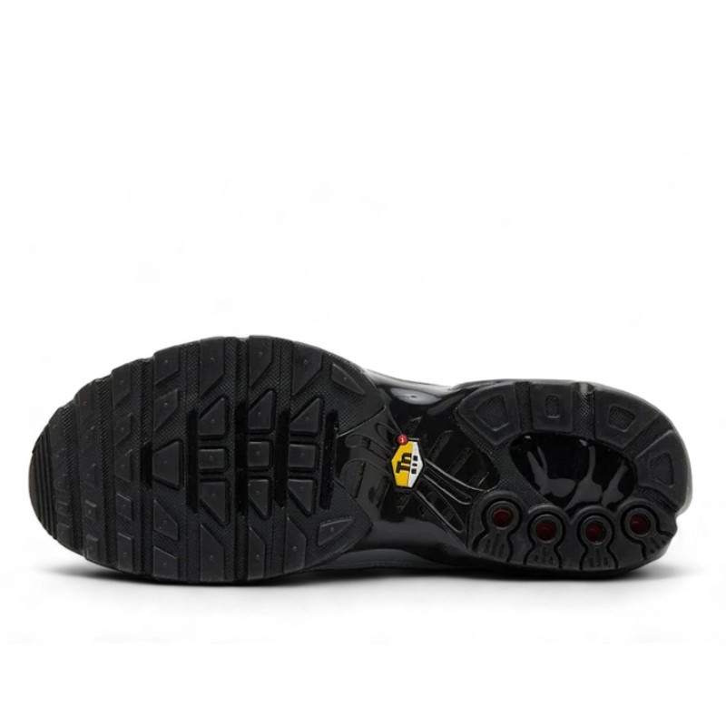 Nike Nike Air Max Plus Tiempo Wolf Grey Black Grijs