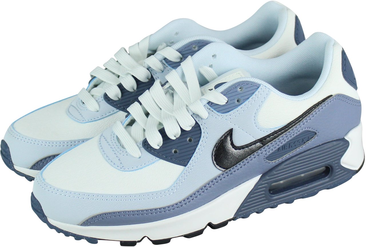 Nike Nike Air Max 90 'Ashen Slate' Grijs