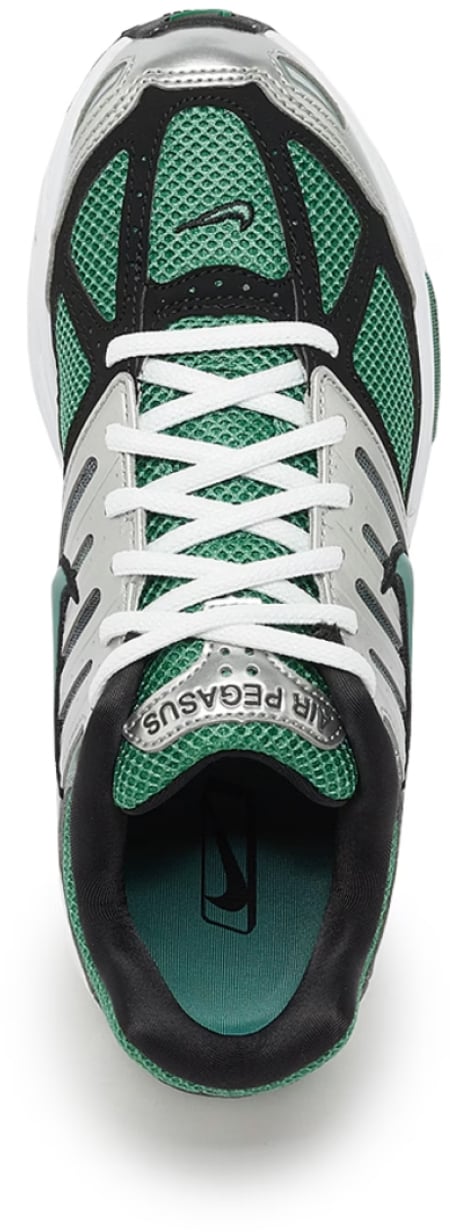 Nike Air Pegasus 2k5 'bicoastal' Sneakers Divers