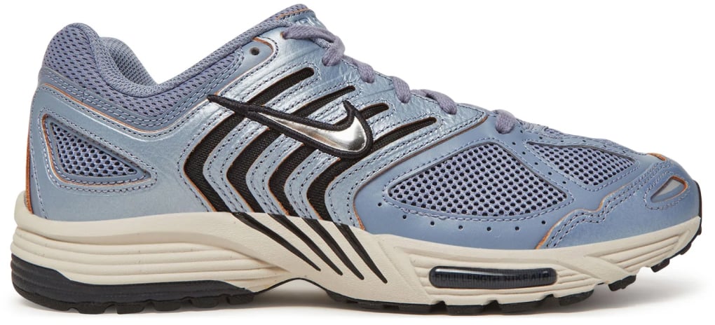 Nike Air Pegasus 2005 C.o.r Sneakers Divers