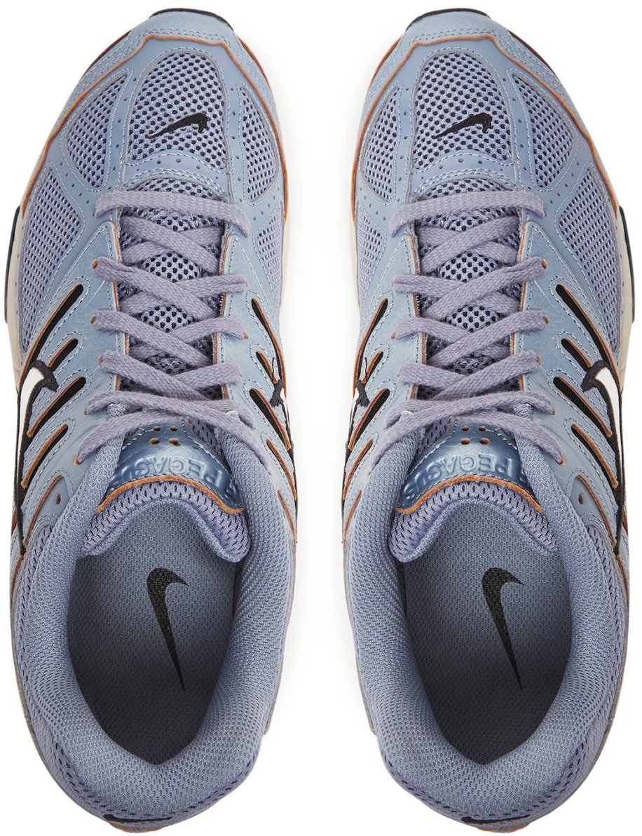 Nike Air Pegasus 2005 C.o.r Sneakers Divers