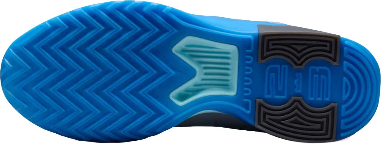 Nike LeBron Witness 9 Basketbalschoen Blauw Blauw