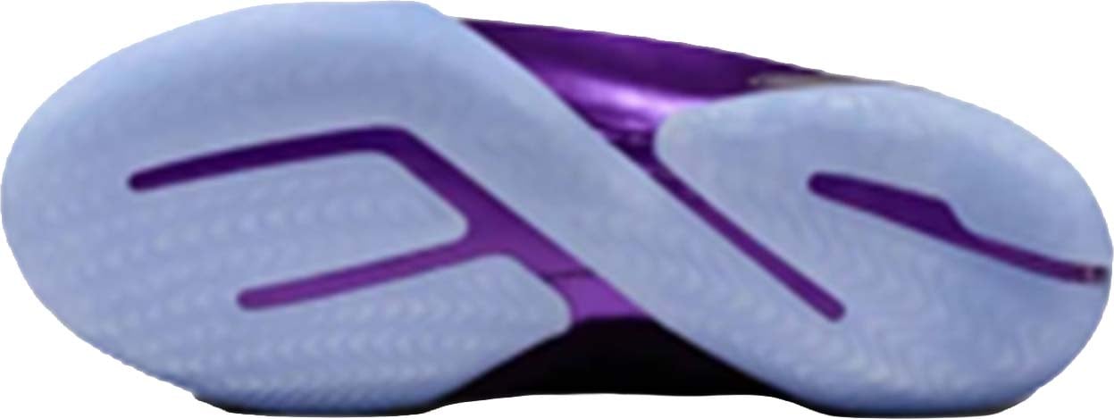 Nike LeBron XXIII The Chosen One and The One Who Chose Blauw