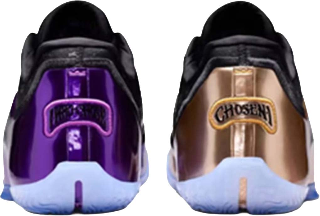 Nike LeBron XXIII The Chosen One and The One Who Chose Blauw