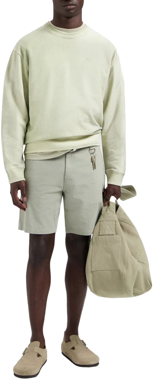 ØLÅF ØlÅf Pigment Spray Crewneck Sweaters Lichtgroen M210203 Groen